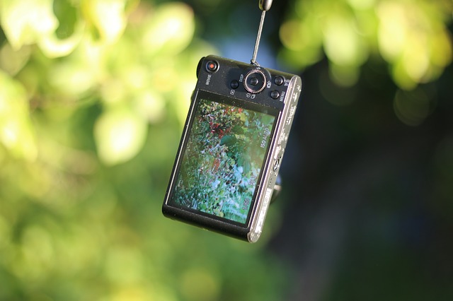 Compact, Camera