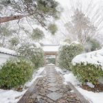 真っ白な古都の美しさに感動!雪の京都を撮り歩いてきた話。