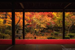 額縁構図に萌える秋！京都の紅葉を撮り歩いてきた話。