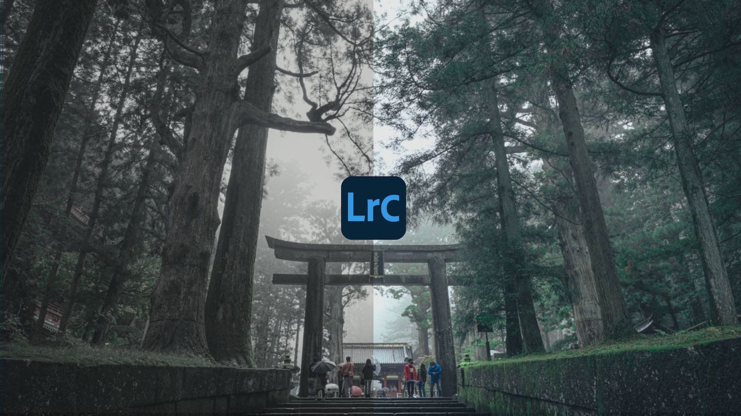 Lightroom カラーグレーディングで写真が一気にエモくなる件 ゆるカメライフ