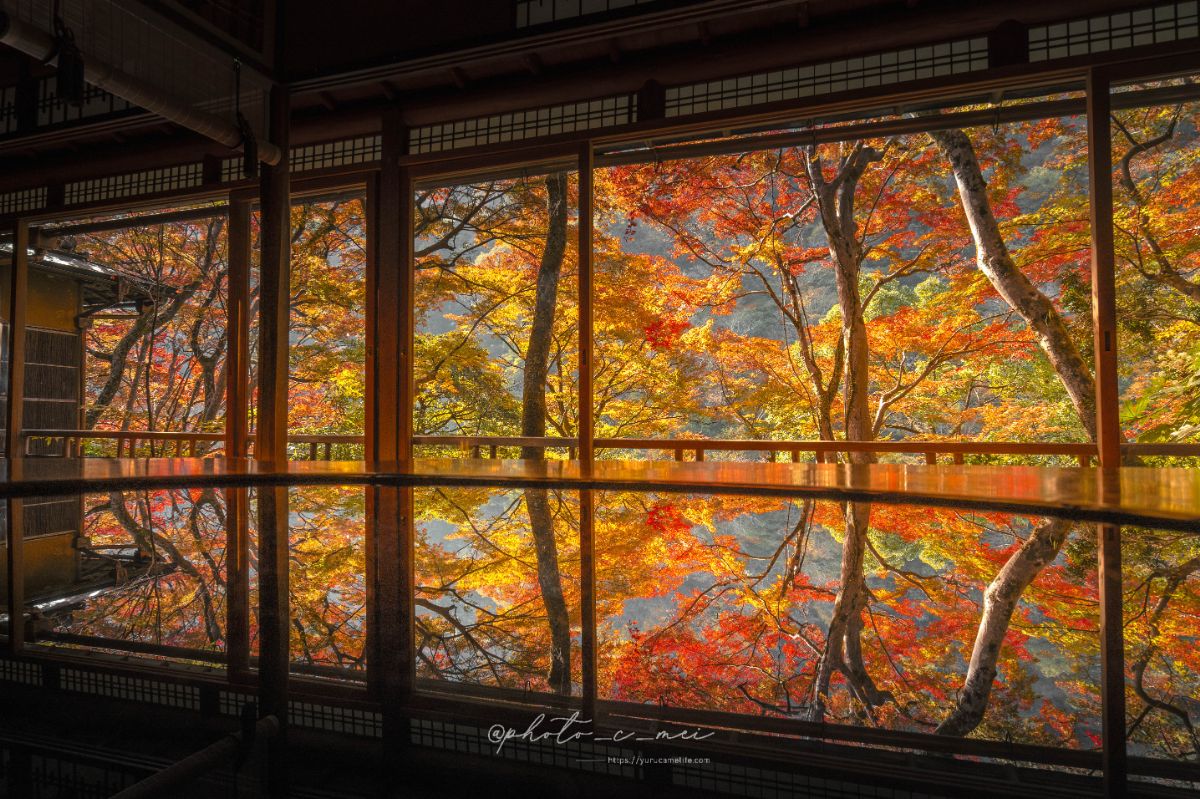 花手水と額縁構図を愛でる秋の京都紅葉めぐり | ゆるカメライフ