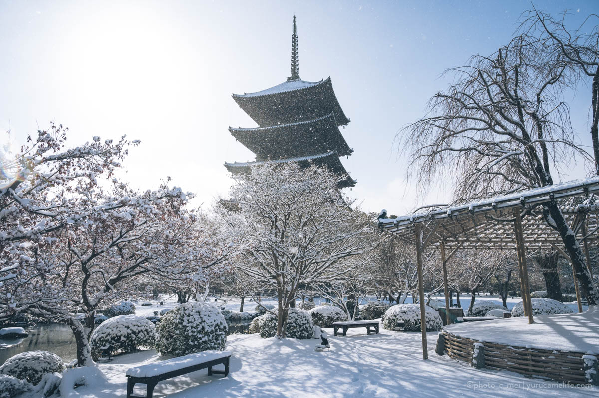 京都で雪が降ったので雪化粧した東寺を撮ってきた | ゆるカメライフ